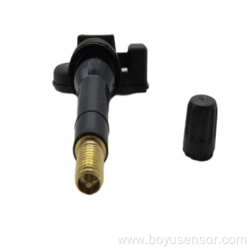 programmable TPMS rubber valve